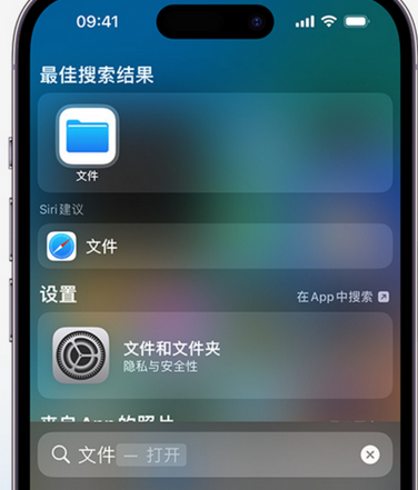 红山街道apple维修中心分享iPhone文件应用中存储和找到下载文件 