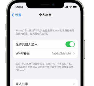 红山街道apple服务站点分享iPhone上个人热点丢失了怎么办 