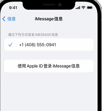 红山街道apple维修iPhone上无法正常发送iMessage信息 