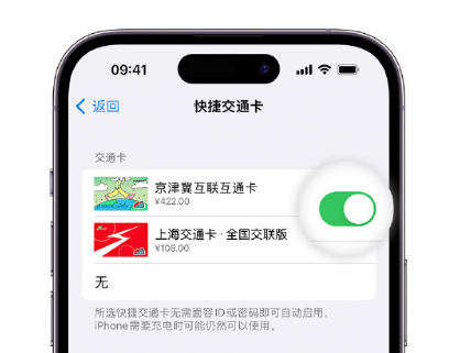 红山街道apple维修点分享iPhone上更换Apple Pay快捷交通卡手绘卡面 