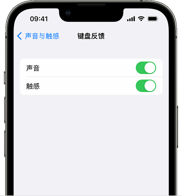 红山街道苹果14维修店分享如何在 iPhone 14 机型中使用触感键盘 