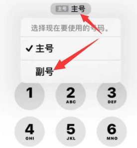 红山街道苹果14维修店分享iPhone 14 Pro Max使用副卡打电话的方法 