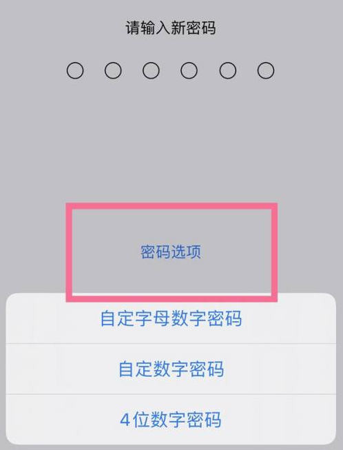 红山街道苹果14维修分享iPhone 14plus设置密码的方法 