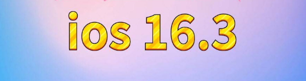 红山街道苹果服务网点分享苹果iOS16.3升级反馈汇总 