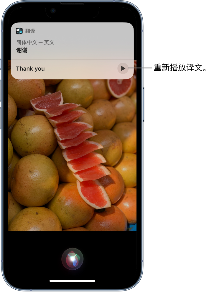 红山街道苹果14维修分享 iPhone 14 机型中使用 Siri：了解 Siri 能帮你做什么 