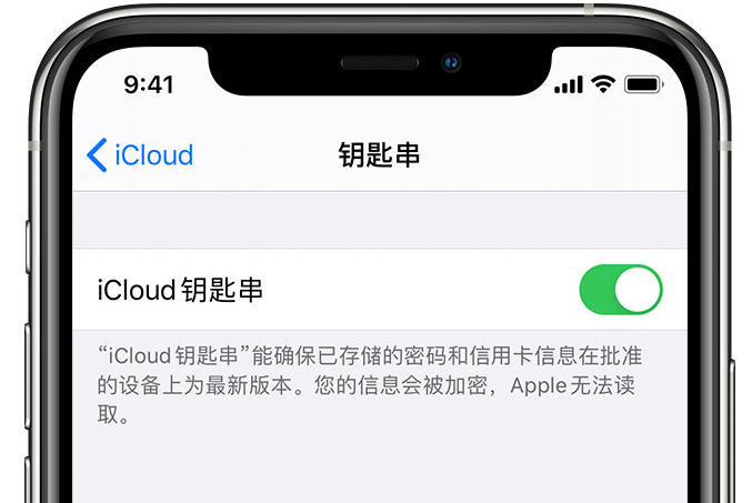 红山街道苹果手机维修分享在 iPhone 上开启 iCloud 钥匙串之后会储存哪些信息 