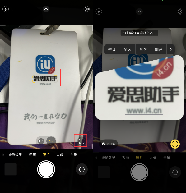 红山街道苹果手机维修分享升级iOS 16后如何通过相机翻译文本 