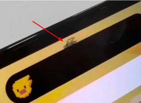 红山街道苹果14维修分享iPhone 14 Pro Max灵动岛怎么养宠物 