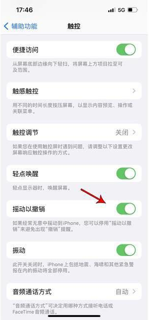 红山街道苹果手机维修分享iPhone手机如何设置摇一摇删除文字 