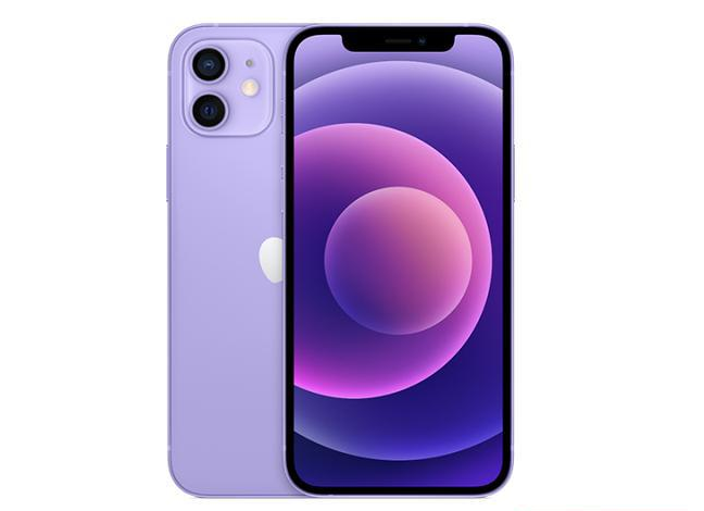 红山街道苹果手机维修分享现阶段要不要入手紫色版iPhone12 