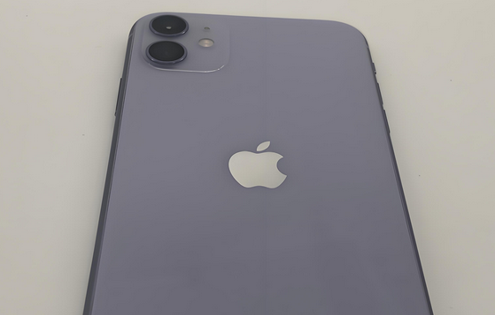 红山街道苹果11系统维修分享iPhone11手机系统崩溃无法开机如何解决 